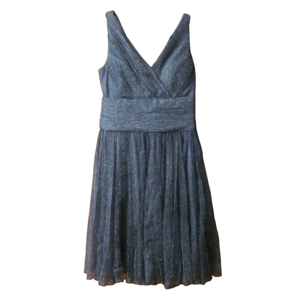 Coldwater Creek Sleeveless Mesh Elegant Dress - Size 12